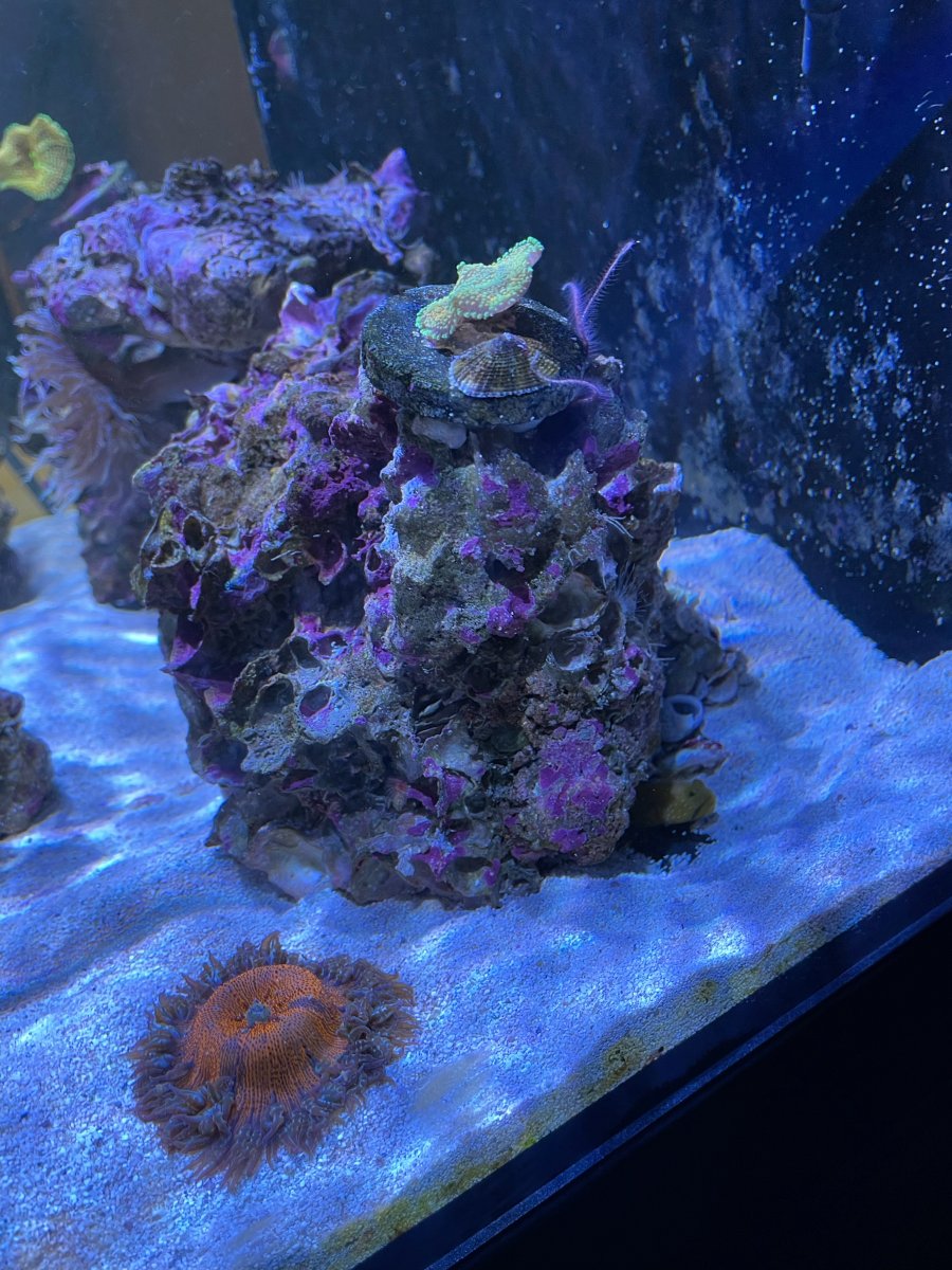 image2 (16).jpeg