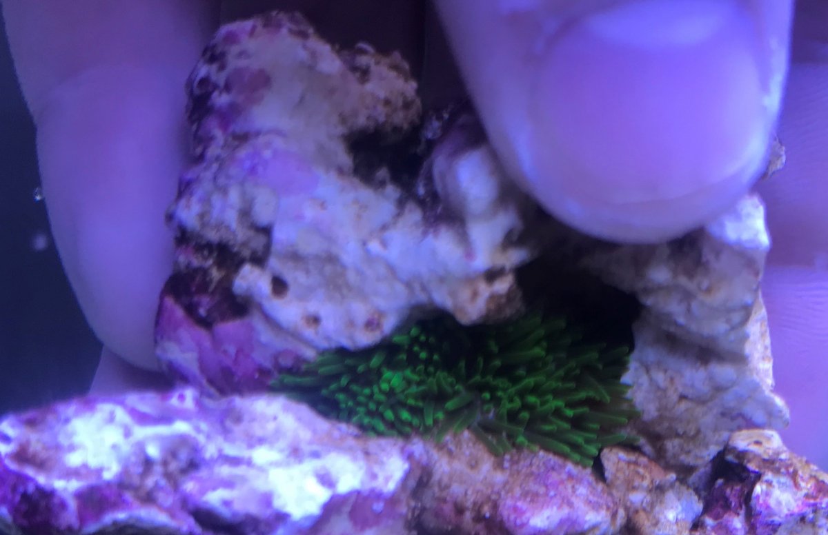 image2 (2).jpeg