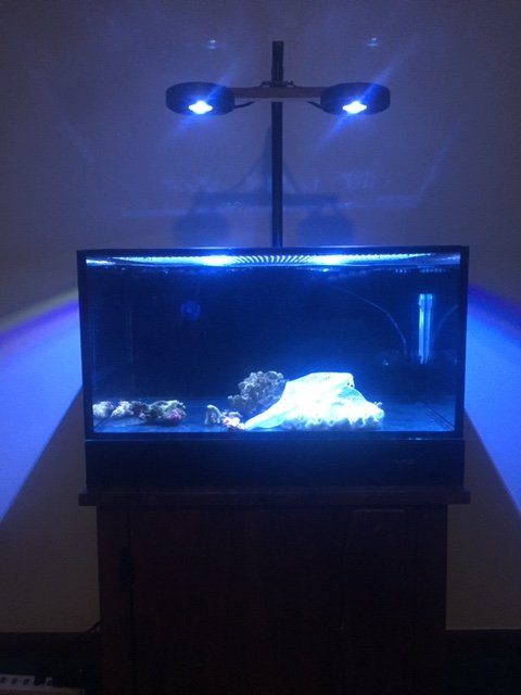 image2 (2).jpeg