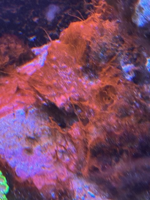 image2 (2).jpeg