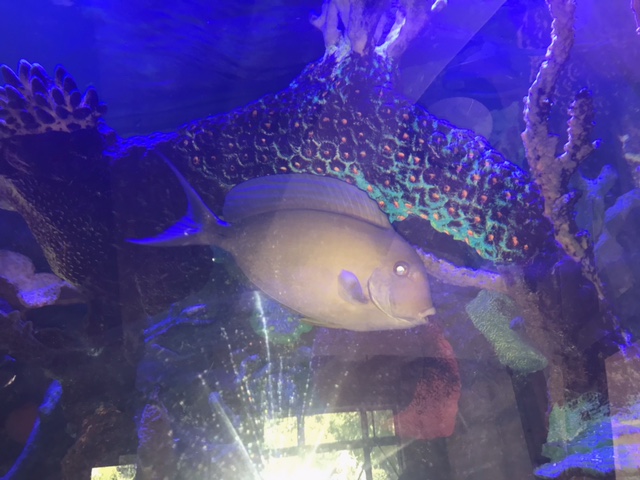 image2 (3).jpeg