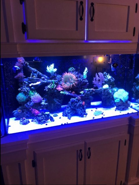 image2 (4).jpeg