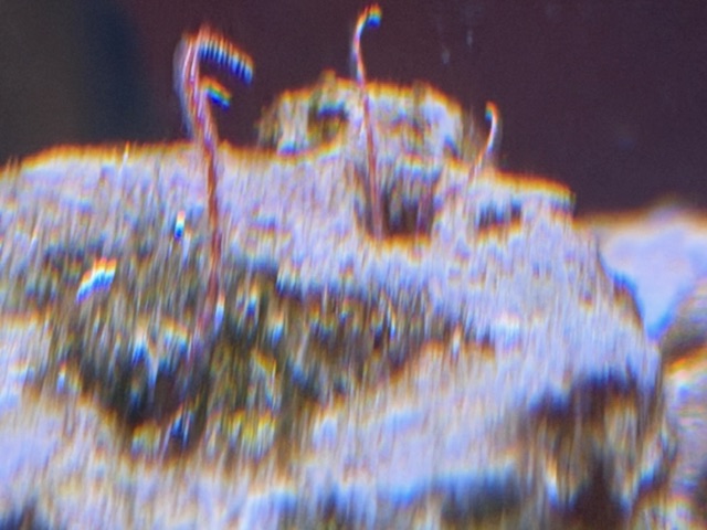 image2 (8).jpeg