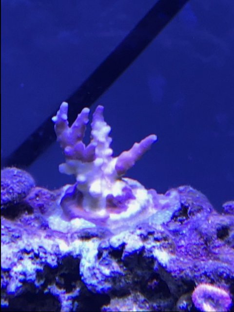 image2.jpeg