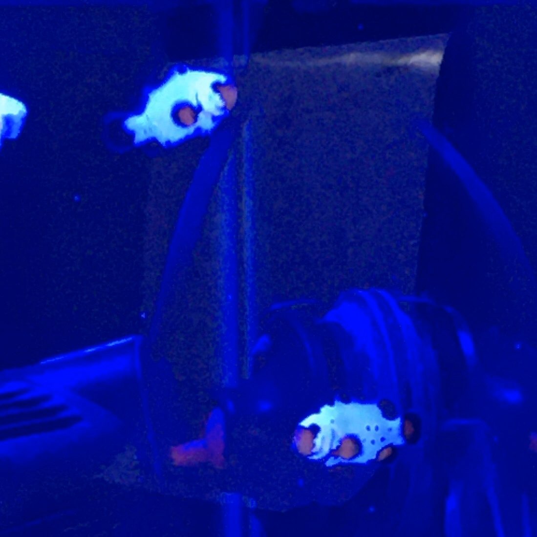 image2.jpg