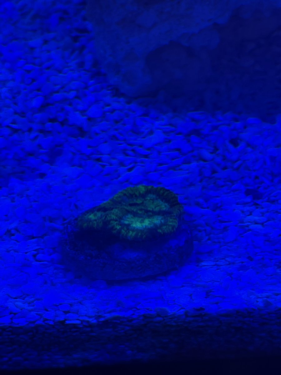 image3 (1).jpeg