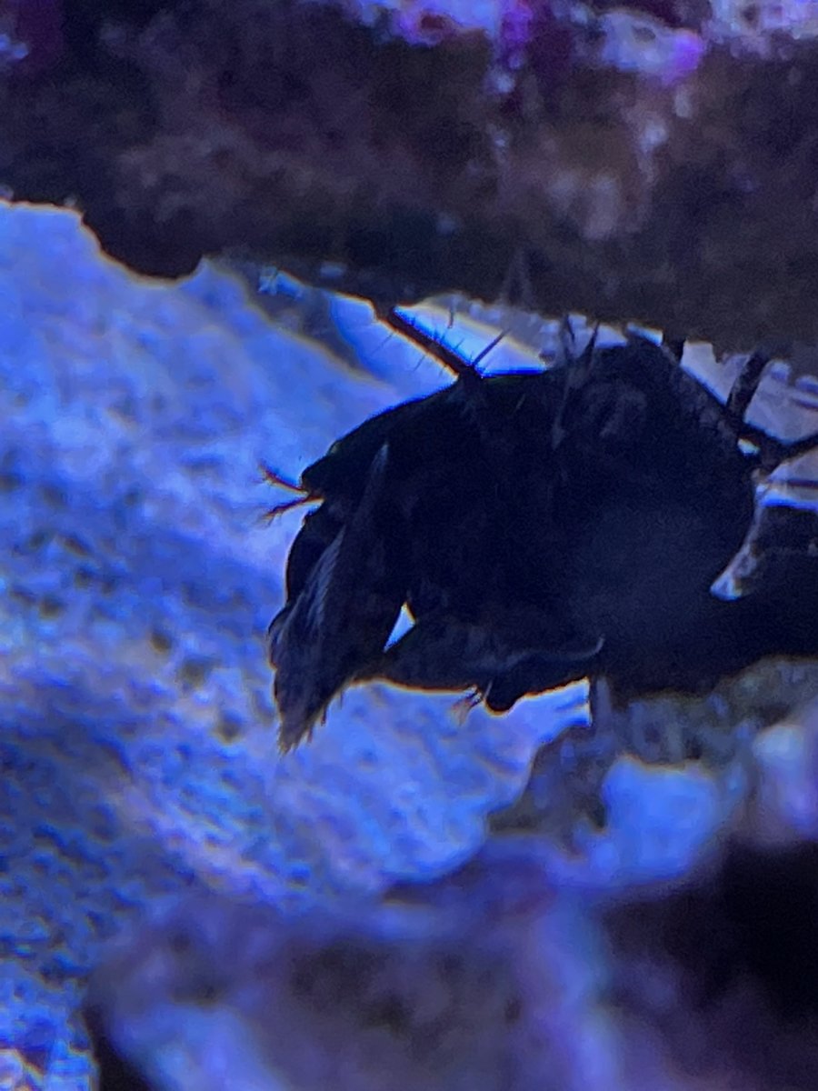 image3 (12).jpeg