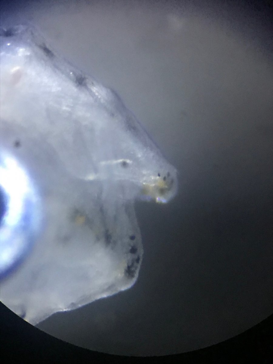 image3(2).jpeg
