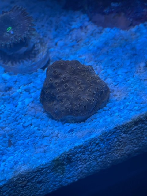 image3 (2).jpeg