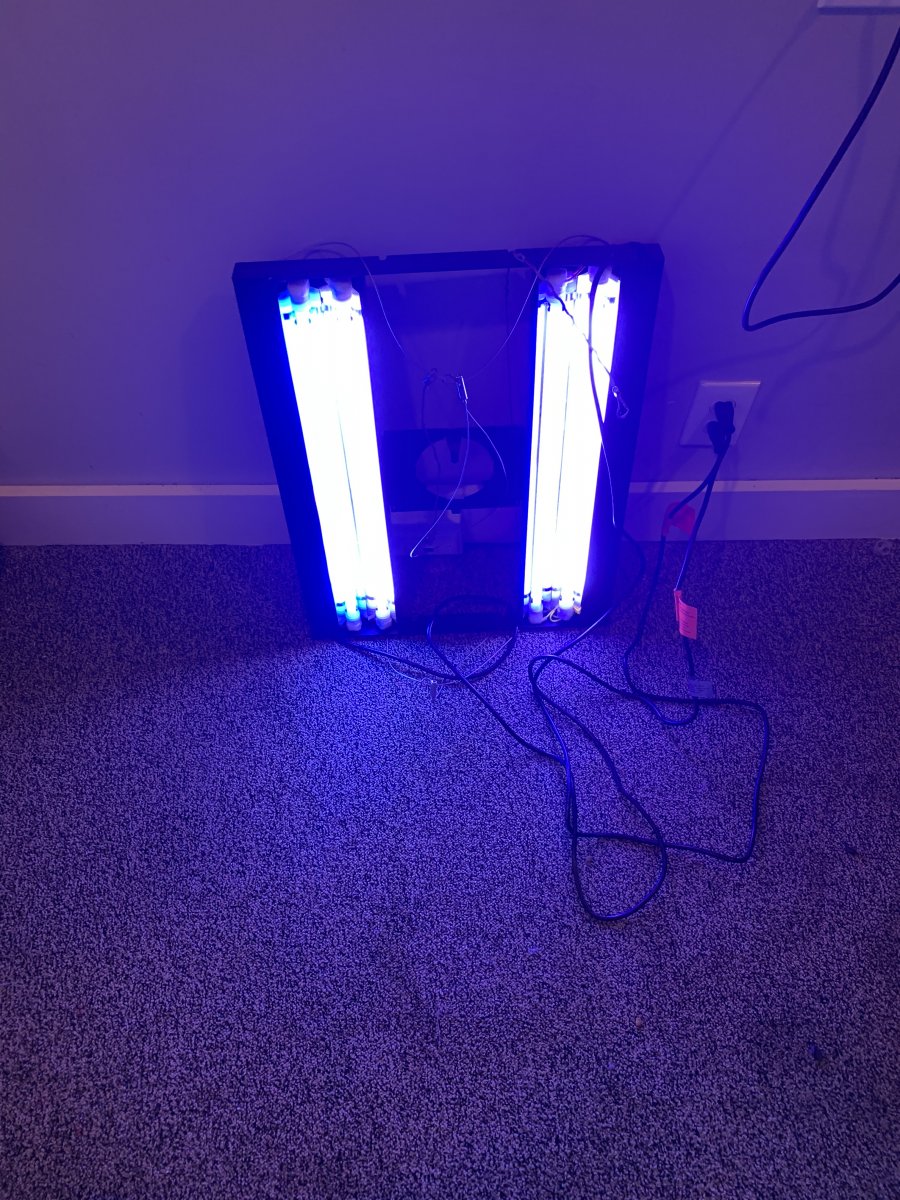 image3.jpeg