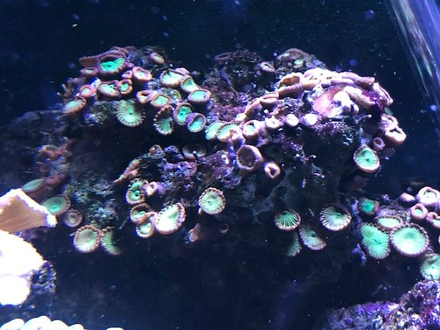 image3.jpeg