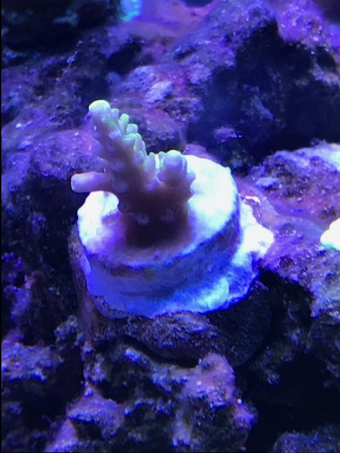 image3.jpeg