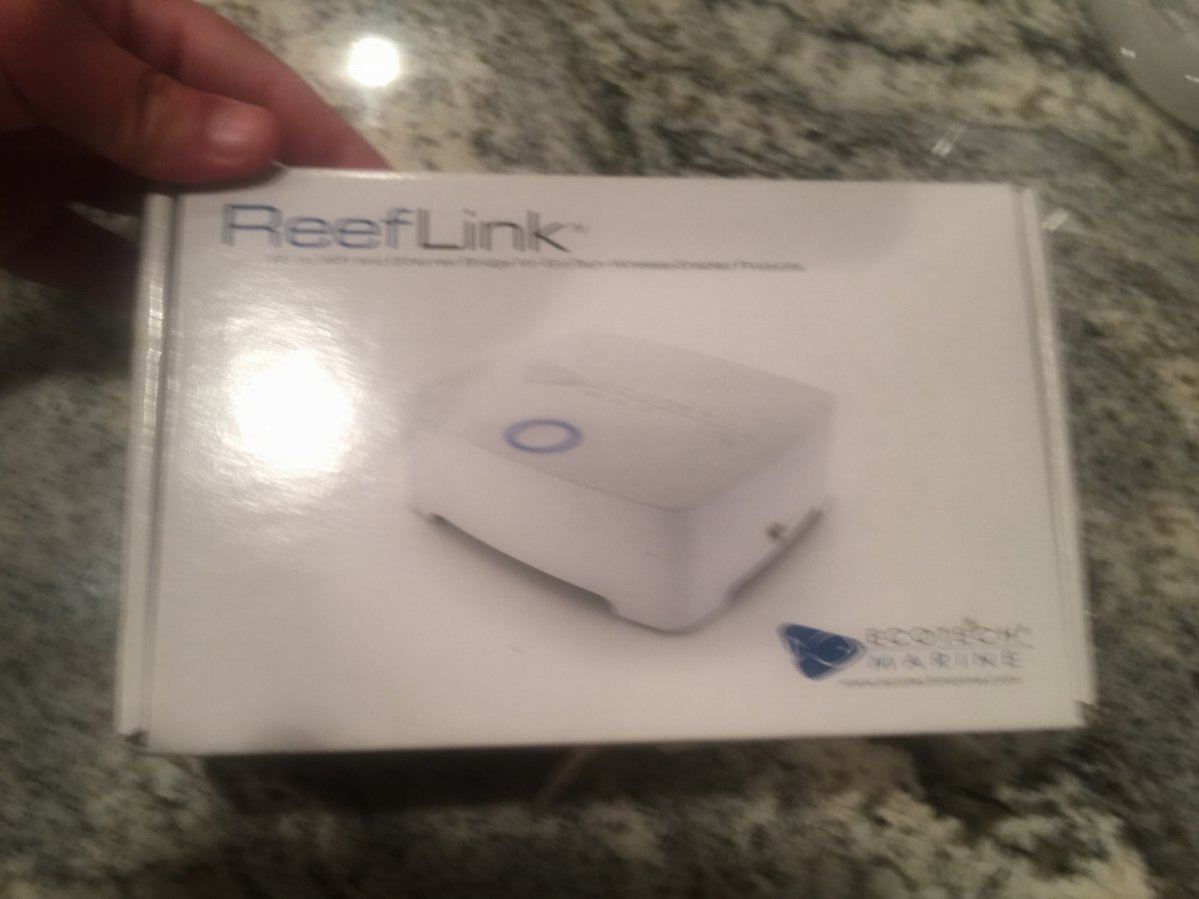 image3.jpeg