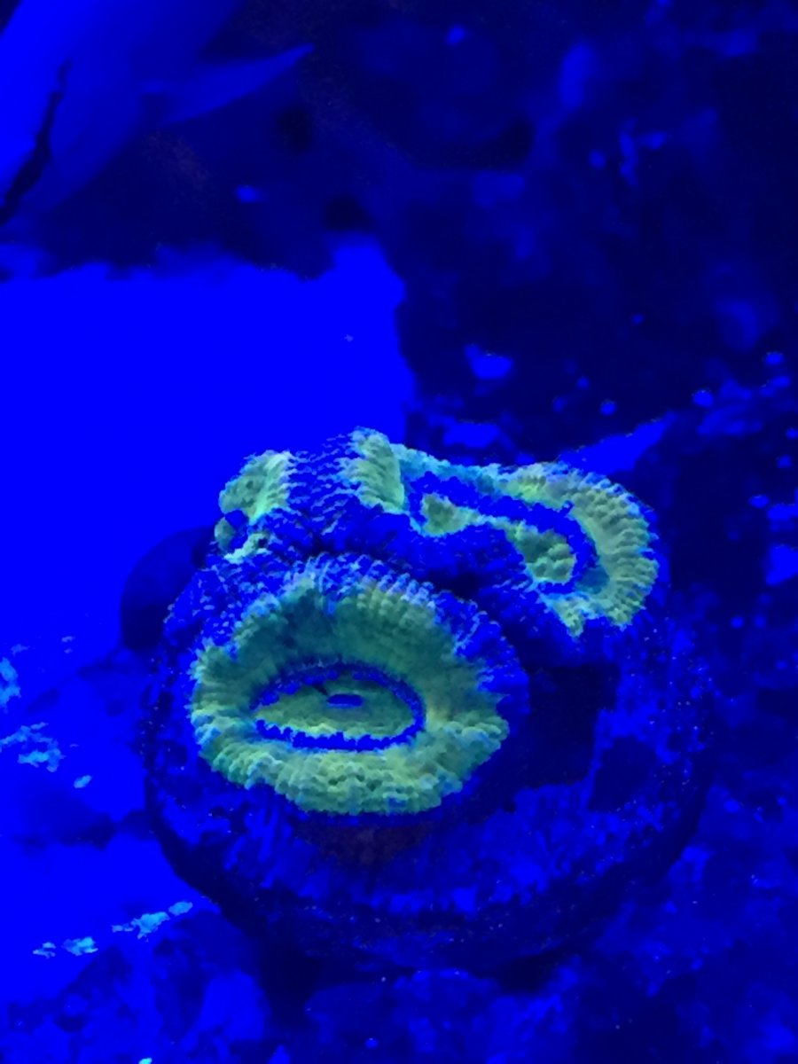 image3.jpeg