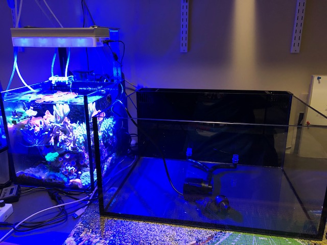 image321.jpeg