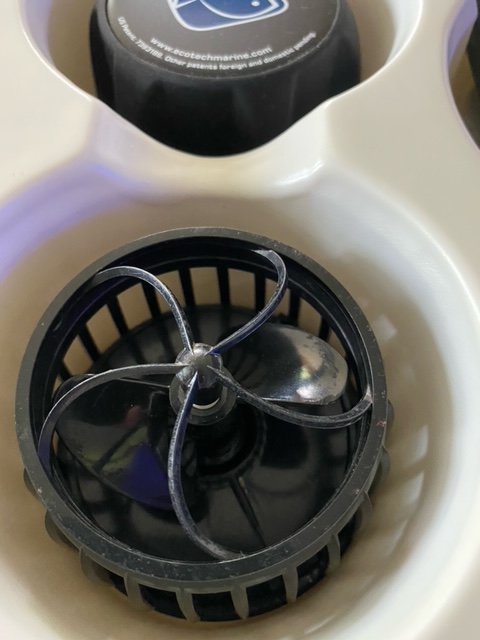 image4.jpeg