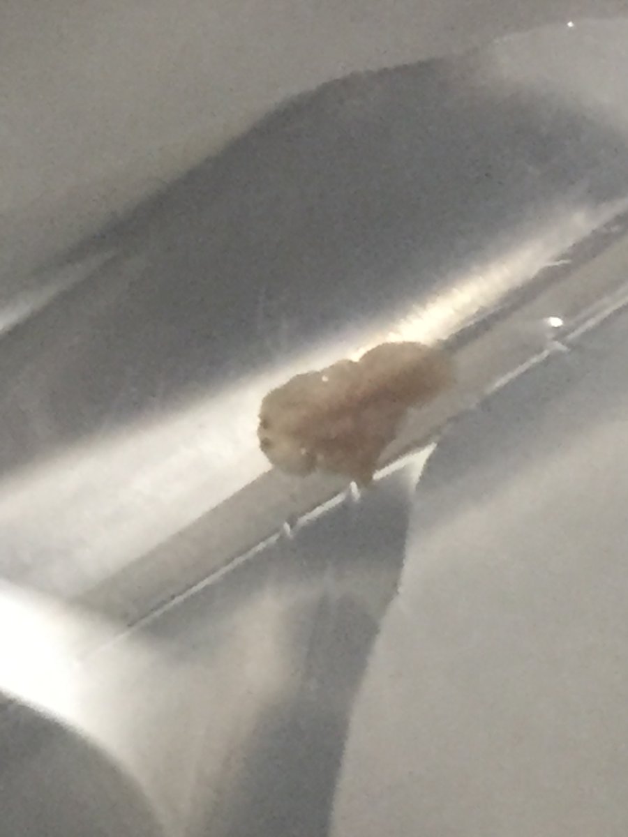image4.jpeg