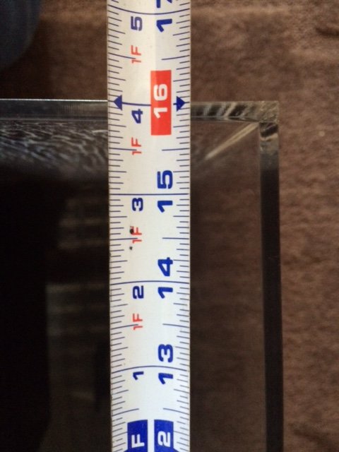 image4.JPG