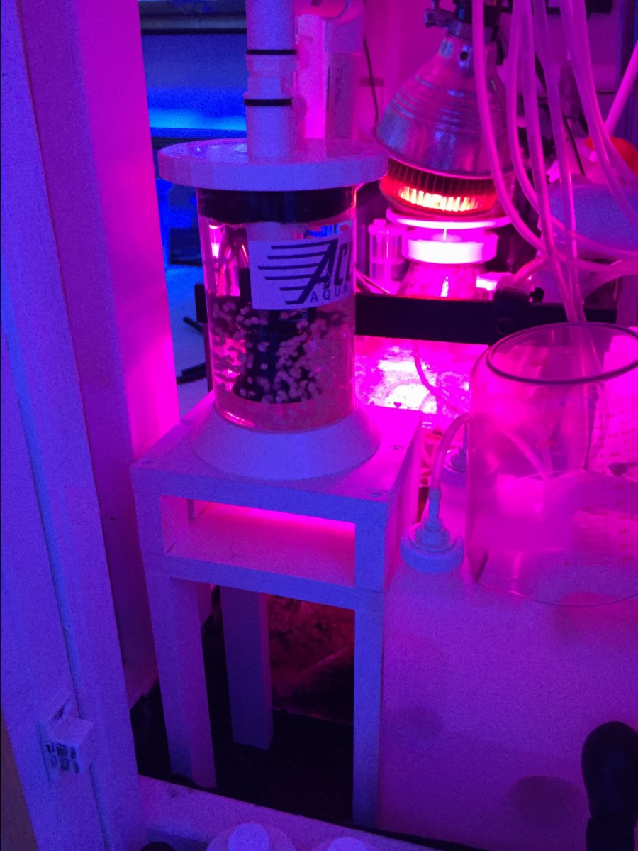 image5 (1).jpeg