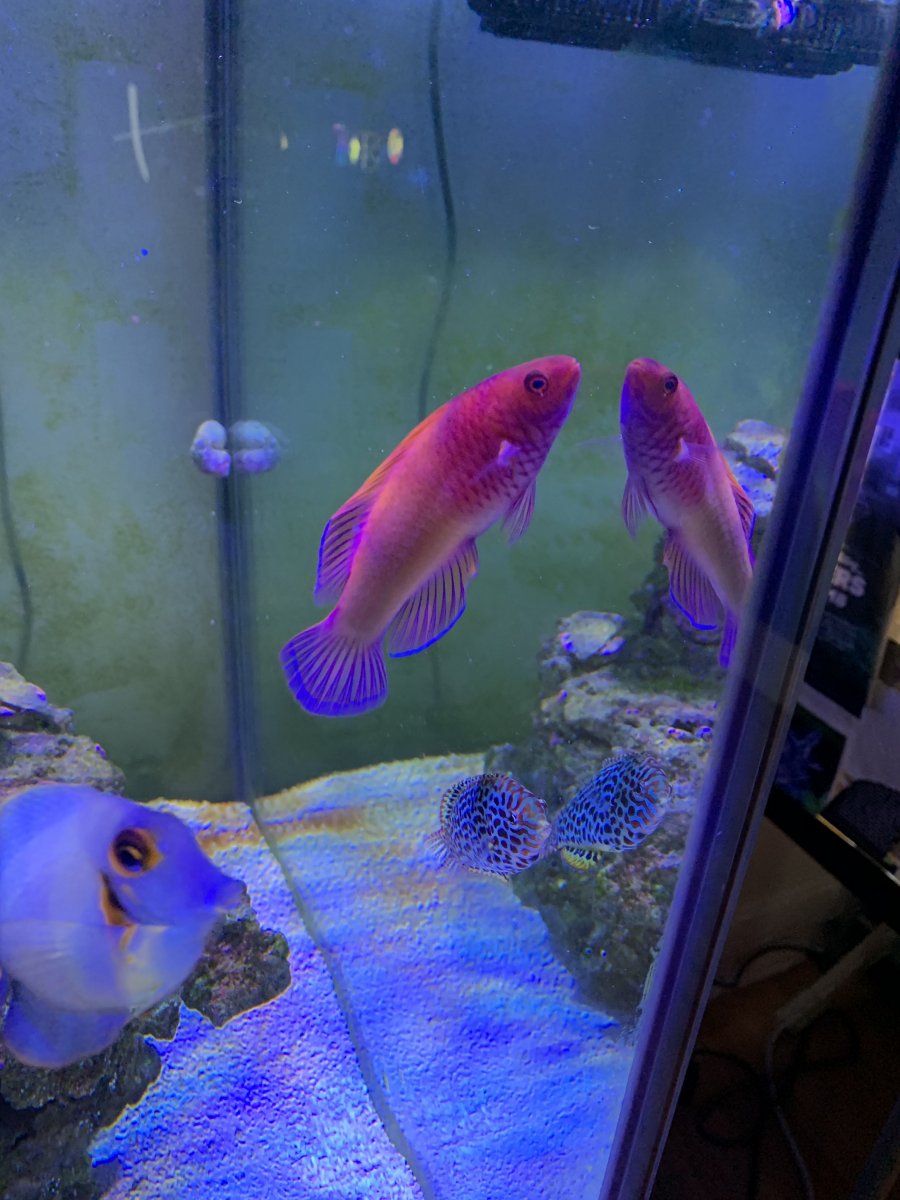 image5.jpeg