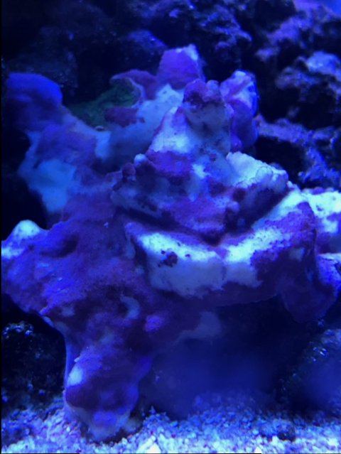image5.jpeg
