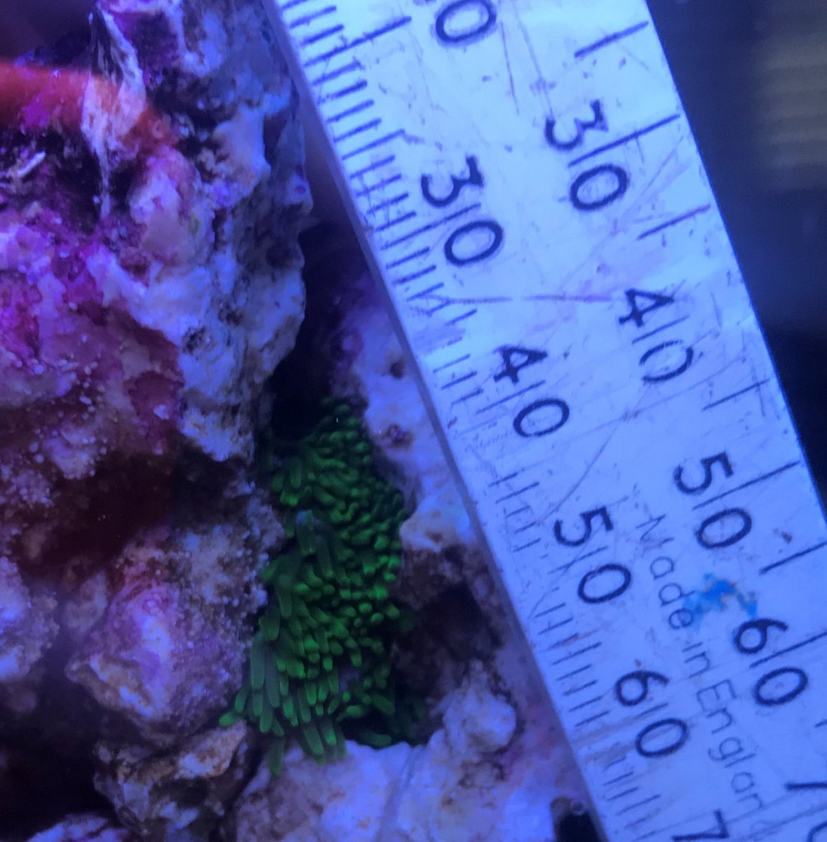image6 (2).jpeg