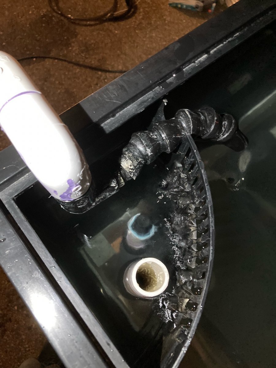 image6.jpeg