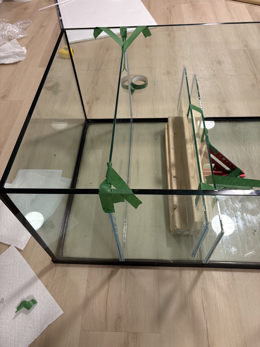 image6.jpeg