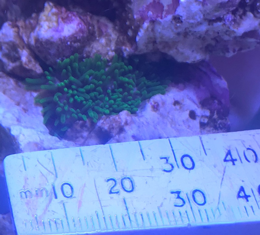 image7 (2).jpeg