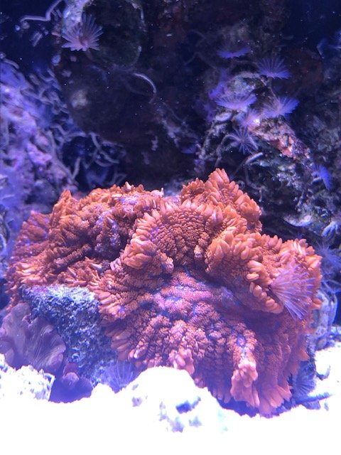 image8.jpeg