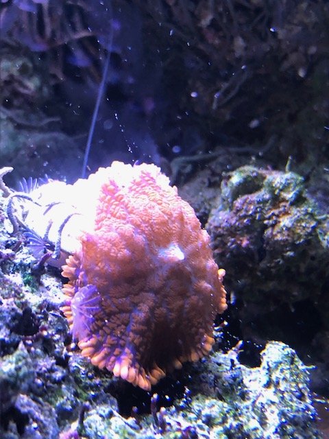 image9.jpeg