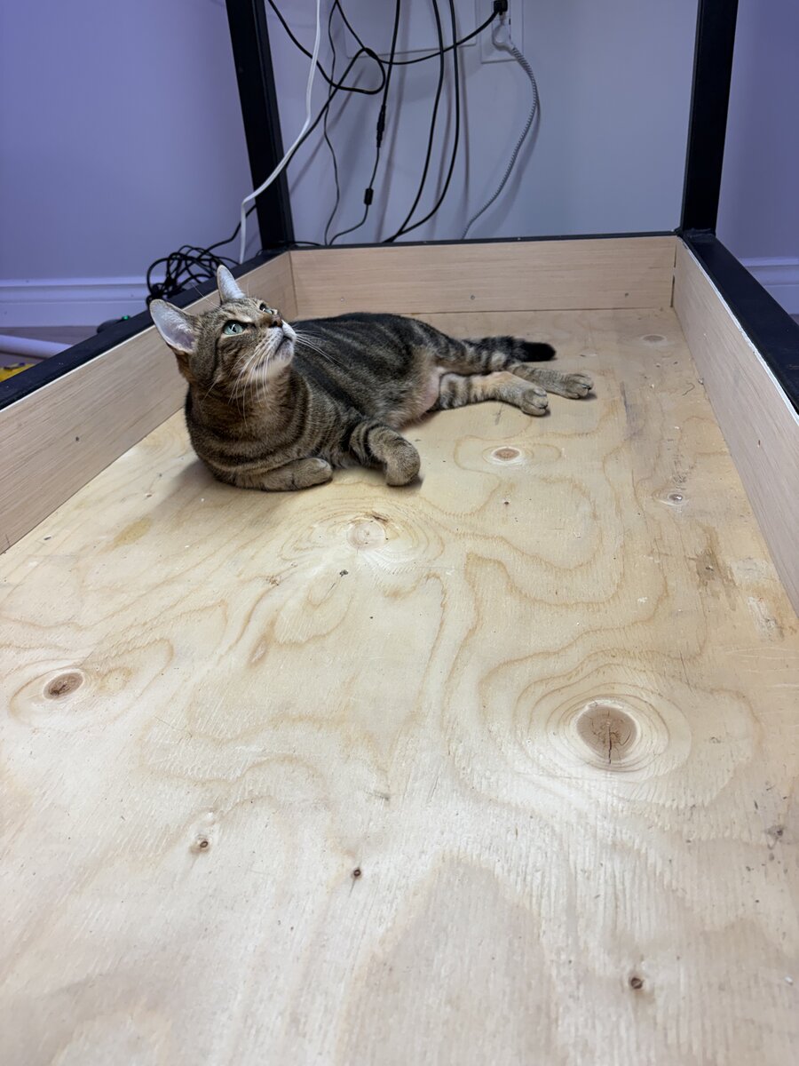 image9.jpeg