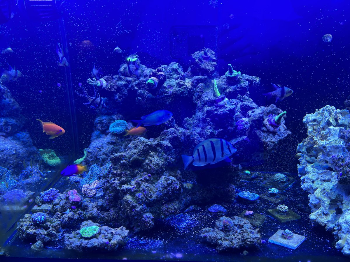 image_50423809.JPG