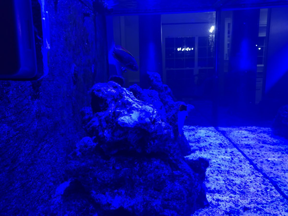 image_50424065.JPG