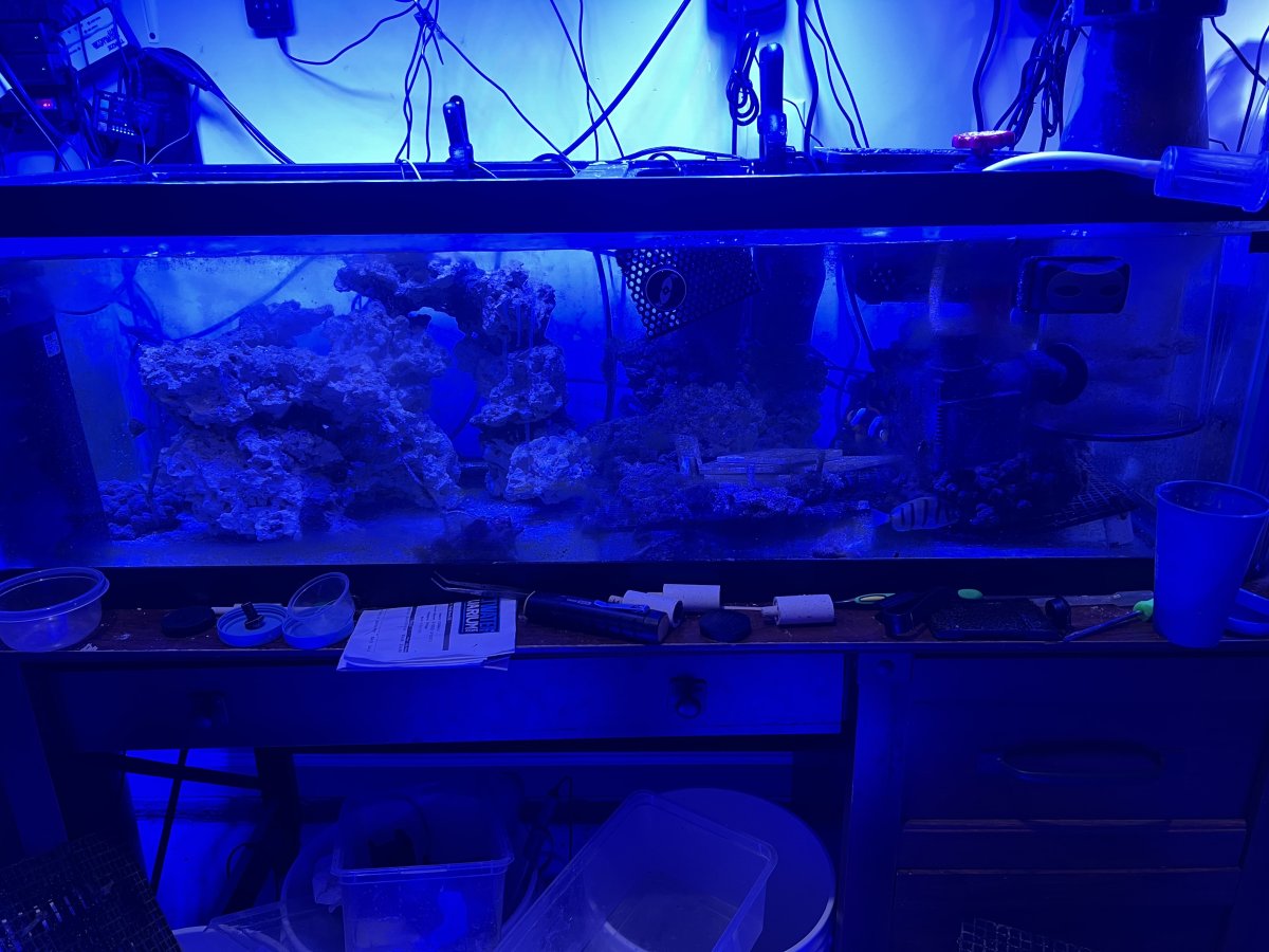 image_50428417.JPG