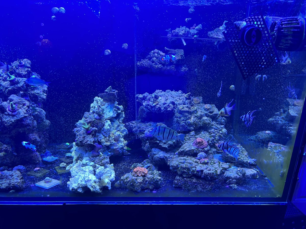 image_50434305.JPG