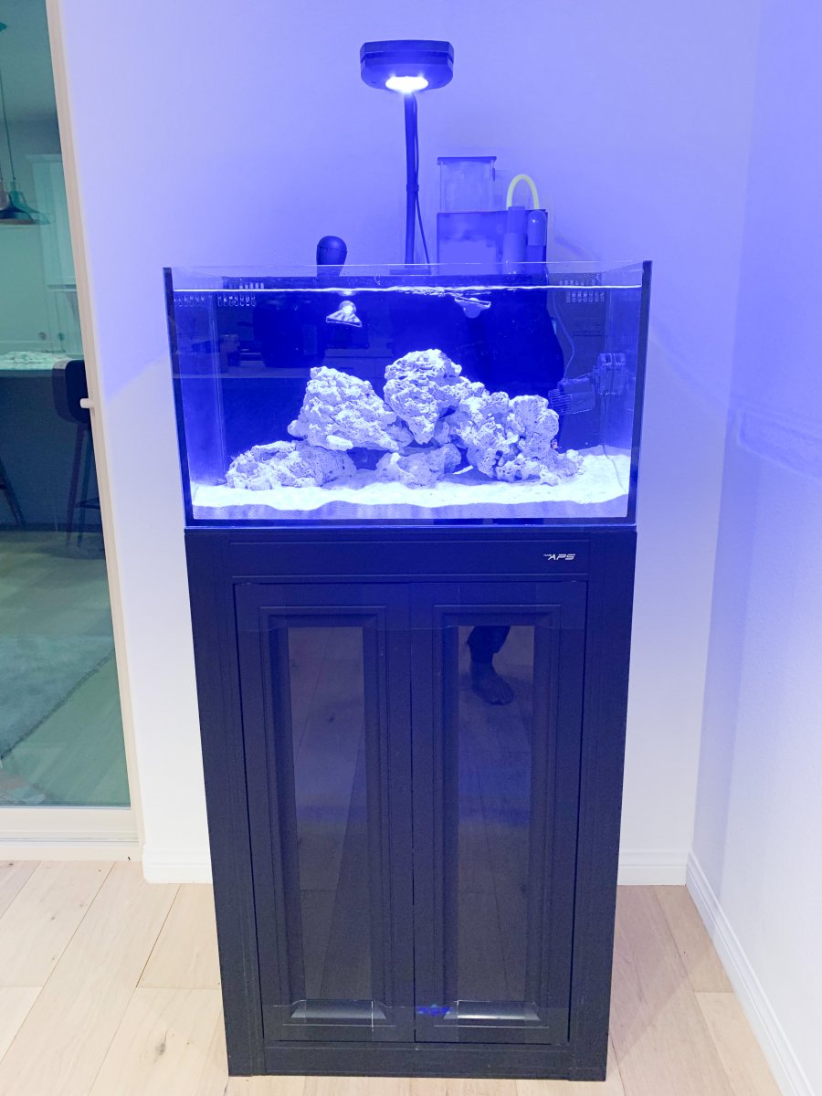 40L NUVO Fusion PRO 2 AIO Aquarium with Black APS Stand - Bulk Reef Supply