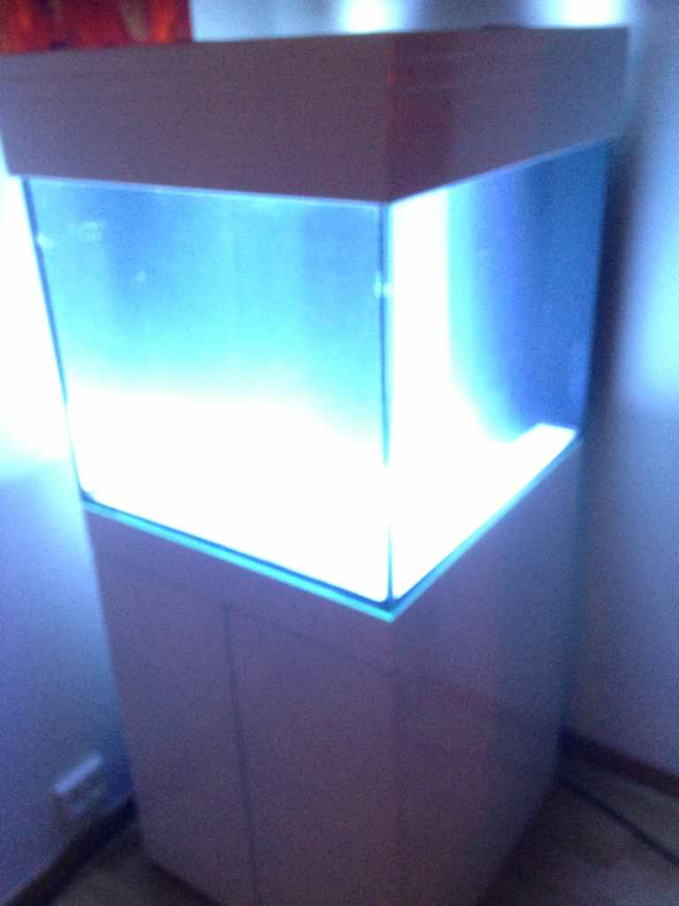 ImageUploadedByREEF2REEF1388153636.645957.jpg