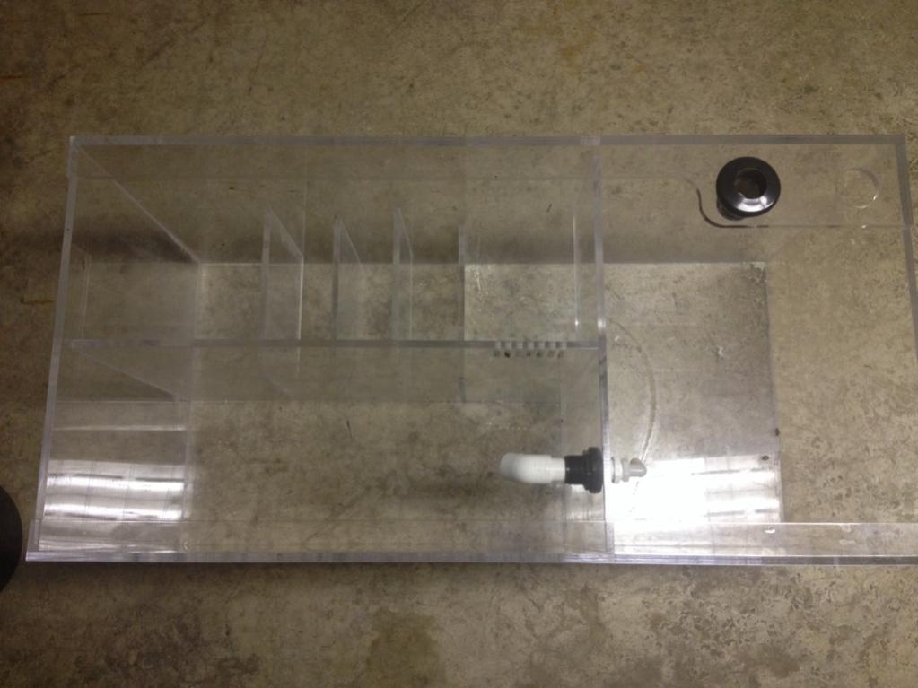ImageUploadedByREEF2REEF1410146657.708564.jpg