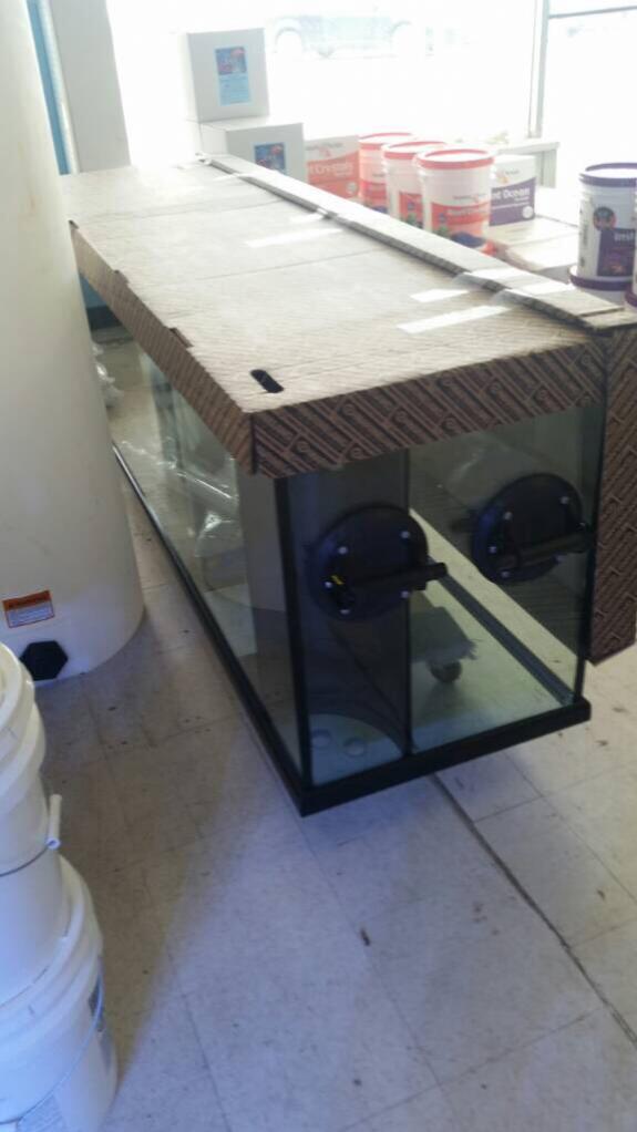 ImageUploadedByREEF2REEF1411964910.992339.jpg