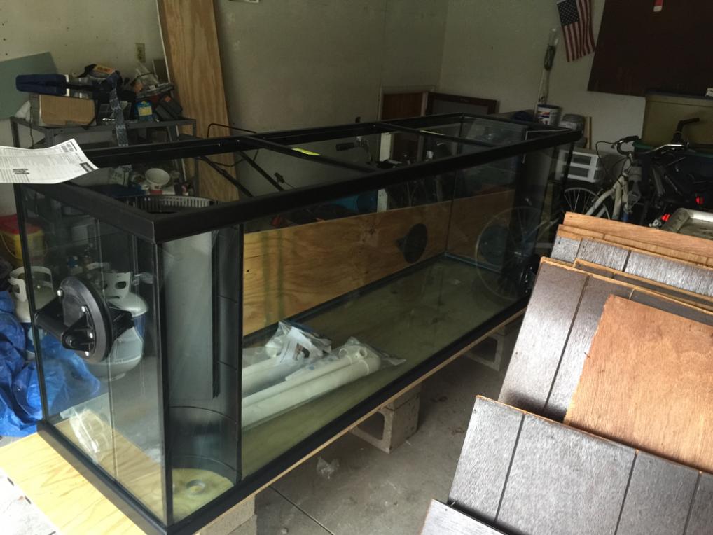 ImageUploadedByREEF2REEF1413659344.298783.jpg