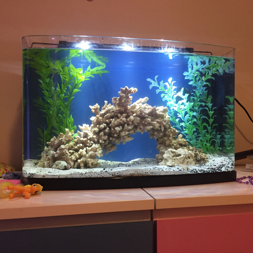 painting-back-of-glass-aquarium-page-2-reef2reef