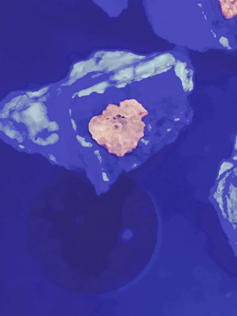 ImageUploadedByREEF2REEF1445305911.238099.jpg