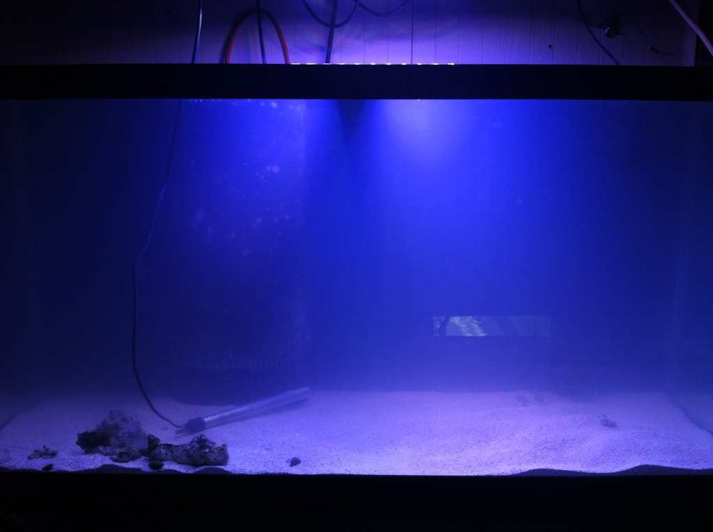ImageUploadedByTapatalk1361218489.166301.jpg