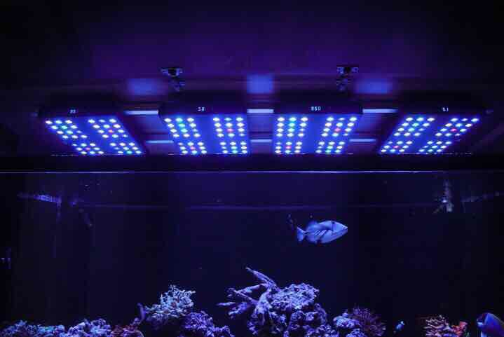 FREE SAME DAY SHIPPING NEW Ocean Revive T247-B Lights w/ Hanging Kit & Timer 