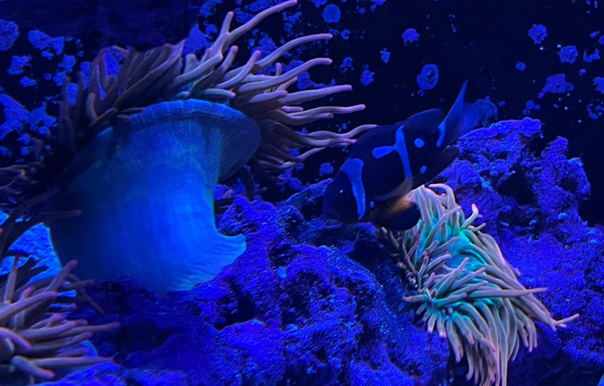 img 2.jpg