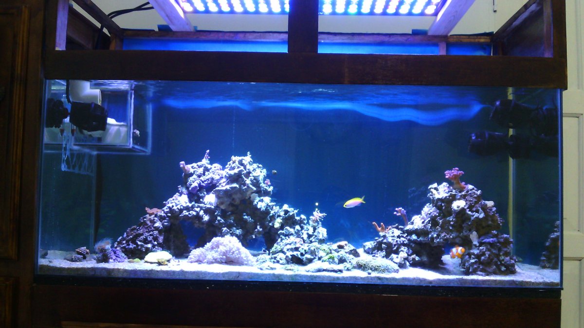 IMG-20150918-WA0002.jpeg