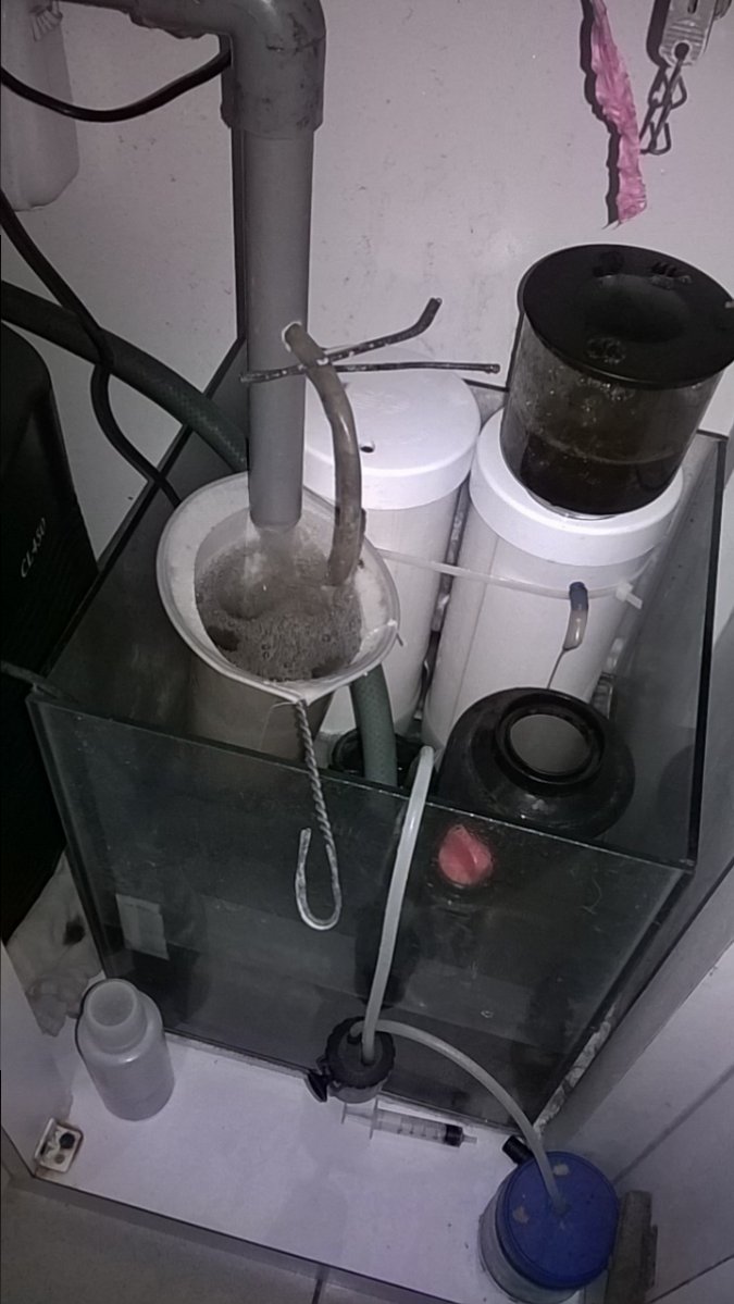 IMG-20170414-WA0002.jpg
