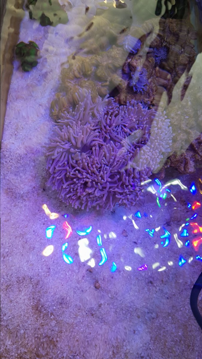 IMG-20190208-WA0005.jpeg