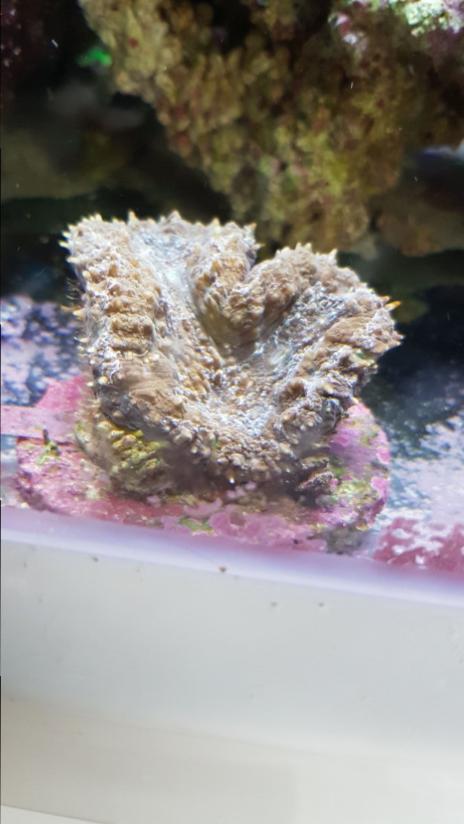 IMG-20190228-WA0012.jpeg